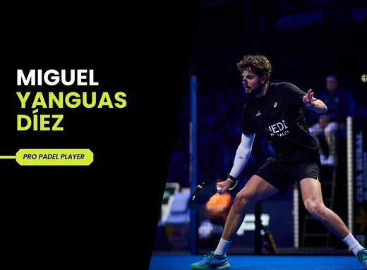 Miguel Yanguas Díez